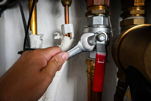 Best Local Plumber Services  in La Follette, TN